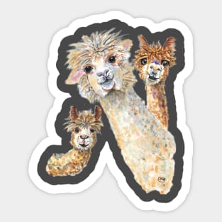 Friendship Sticker